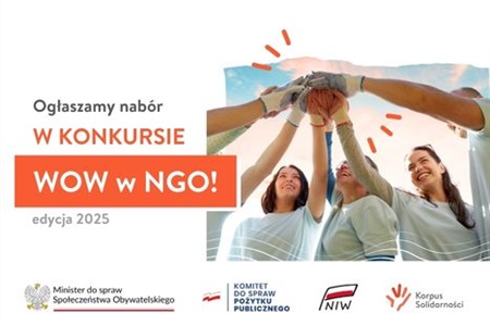 Webinar dla wnioskodawców WOW z NGO